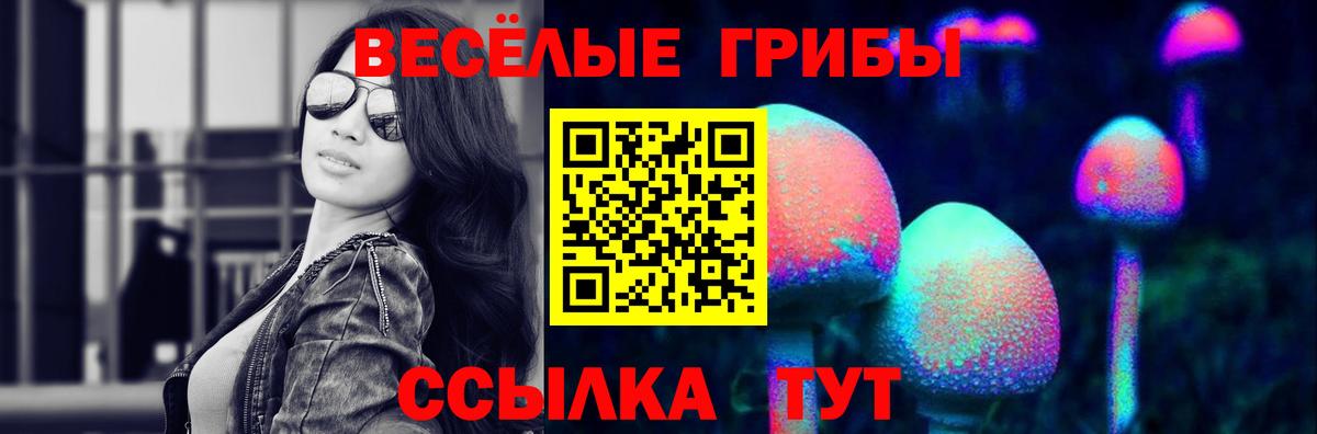 закладки  Псилоцибиновые грибы мухоморы  Вход с VPN  Звенигород 